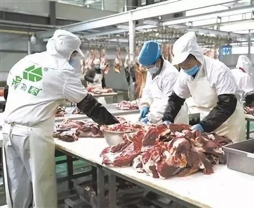 喜讯 青海四家企业获得第七批农业产业化国家重点龙头企业荣誉